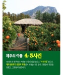 [카드뉴스] 화해와 상생의 길, 제주 4·3길