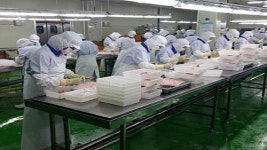 경북도, 수산물 수출가공 인프라 구축에 220억원 투자