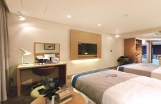 ‘메가스타 영종’ 파라다이스 호텔 바람 타고 승승장구