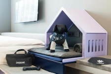 강아지옷 브랜드 탐앤드폴, 코오롱 카푸치노호텔과 특급 콜라보 진행