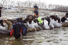 경북도, 연어 도내 하천에 120만 마리 방류