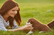 한검평, 반려동물관리사·병원코디네이터자격증 온라인 교육 개설