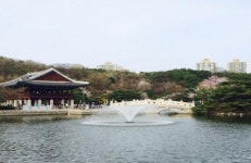 분당 서현역 근처에서 즐기는 공짜 문화생활과 맛집 체험