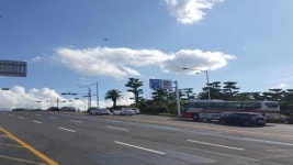 제주도에서 렌터카 운전 조심, 우선차로  8월 23일부터 시범운행