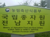 국립종자원 전남지원, 하반기 종자 유통조사 나선다