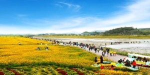 장성판 ‘슈퍼스타K’ 황룡강변에서 열린다.
