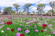 추석 황금연휴, 순천여행 총정리