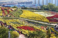  화순 남산공원에서 27일 국화향연 ‘팡파르’