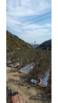 영천시 과실전문생산단지 4년 연속 선정