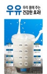 하루 우유 2~3잔 섭취, 뼈와 심장 등 건강에 도움 돼