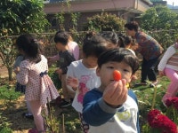 고흥읍 호천마을, 관내 소풍장소로 각광