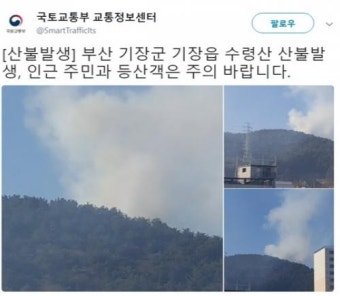 기장 산불, 10일 만에 또 발생