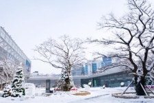 ACC, 무술년 새해맞이 다양한 가족프로그램 선보여
