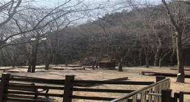 대구시, 팔공산 동화·도학·파계야영장 3개소 운영