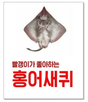 전라도 조롱 극우사이트 게시물 발견, 논란