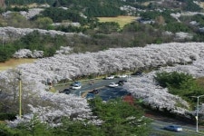 경북관광공사, 10일까지 경주 보문단지 곳곳에서 행사