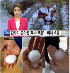 대구, 우박+강풍+폭우… 피해는?