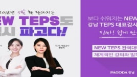 파고다 강남학원, 뉴텝스 대비 텝스반 개설