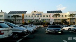 영천시, 불법전용산지 양성화 완료