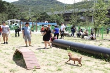 반려동물 천만시대 안양시, 반려동물 놀이터 ‘삼막애견공원’ 개방