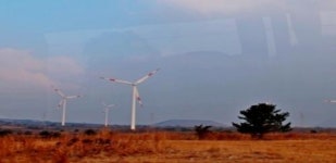 政, 신재생에너지 정책 내실 기해야