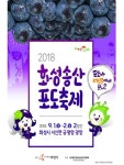 화성시, ‘2018 화성송산포도축제’ 개최
