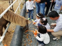 영천시, 아이와 함께 놀러가는 날 개최