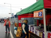 영천시, 도로변 농산물간이판매장 실명제 추진