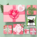 이너뷰티로 주목…네이처메디랩,간편하게 먹을 수 있는 보이차 출시