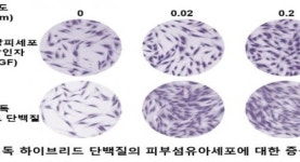 ㈜넥스젠바이오텍, 애경산업과 거미독 하이브리드 단백질 공급 계약 체결