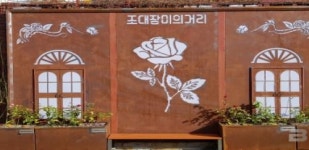  광주 동구, ‘장미가 피어나는 거리’ 조성