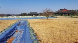 [단독] 경주시 ‘동궁과 월지’ 복원, 유네스코 반대로 중단