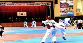 제10회 아시아 청소년 태권도 선수권 최종 선발 대회 개최