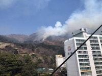 부산시 사하구 승학산서 방화추정 산불···현재 잔불 정리 중(종합)