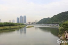 [울산시 브리핑] 태화강 100리 하천정비 사업 순항 등