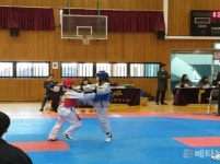 사천 남양초, 태권 건아 4연속 돌려차기 정상에 명중