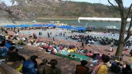 진주남강 벚꽃 피크닉 성황