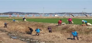 김제시 광활면 농수로 방치 쓰레기 수거