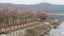 김제시 금평곁길, 모악산 관광의 필수코스로 급부상