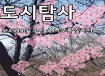 인천광역시, 도시역사관 도시탐사 시즌 3 프로그램 진행