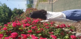 완주산업단지 장미꽃 만발 인기짱