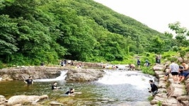 영천시, 신녕면 치산관광지 내 무료 편의시설 설치