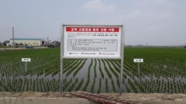 김제 고품질쌀 품종 선발 시범 사업 추진