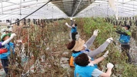 영진사이버대학교 사회봉사단 농촌 찾아 이웃사랑 펼쳐