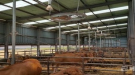 경남농기원, 폭염 속 축산농가 위생관리 당부