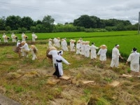 김제시 만경읍, 김만경 외애밋들 들노래 시연