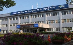 진안 도통리 청자요지, 국가사적 지정