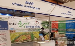 창녕군, 2019 경남 동부권 채용박람회 참가