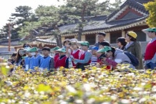 국내 첫 목화재배지 산청서 목화축제 개최