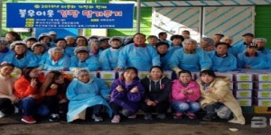 강화군, 농산물 김장시장 개장
